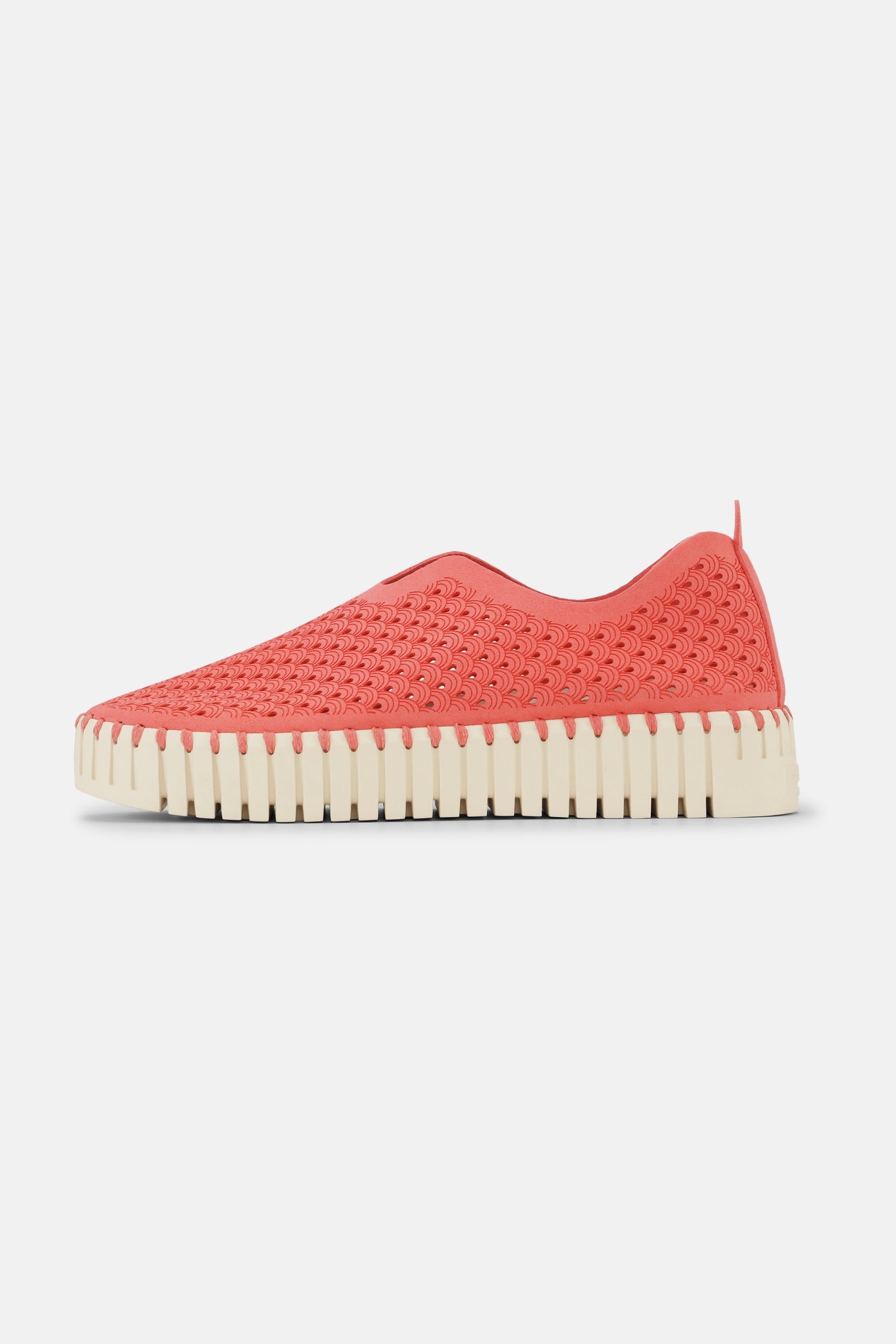 Instappers Platform TULIP3373 | Raspberry | Shoes | Ilse Jacobsen