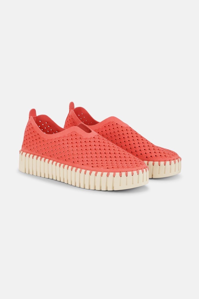 Instappers Platform TULIP3373 | Raspberry | Shoes | Ilse Jacobsen